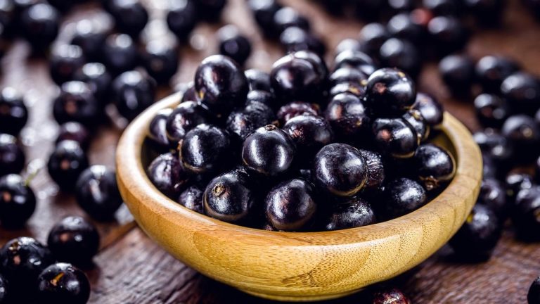 Jabuticaba, Engorda ou Emagrece?