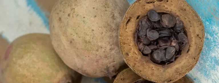 Jenipapo: Para que serve?