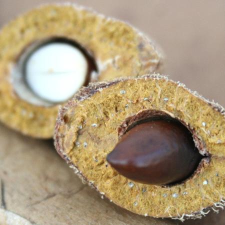 Baru
